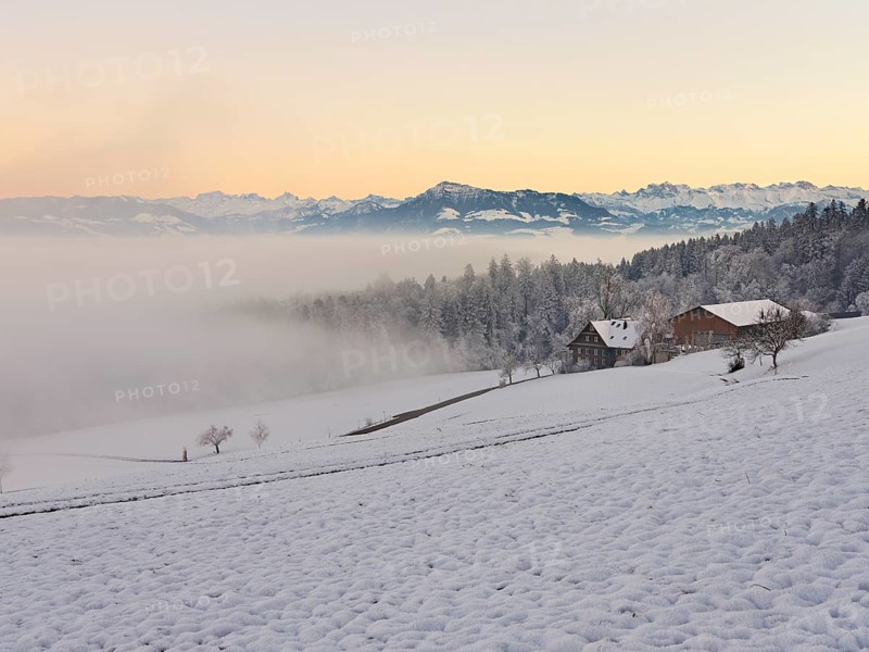 Farm in a freshly snow-covered landscape, behind the Alps with Rigi, Horben, Freiamt, Canton Aargau, Switzerland