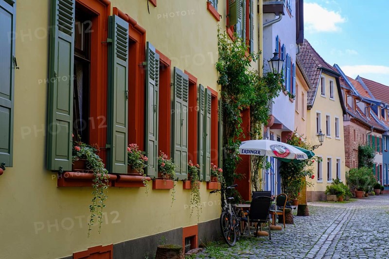 Half-timbered houses in the old town centre, Ladenburg, Rhine-Neckar district, Baden-Württemberg, Germany
