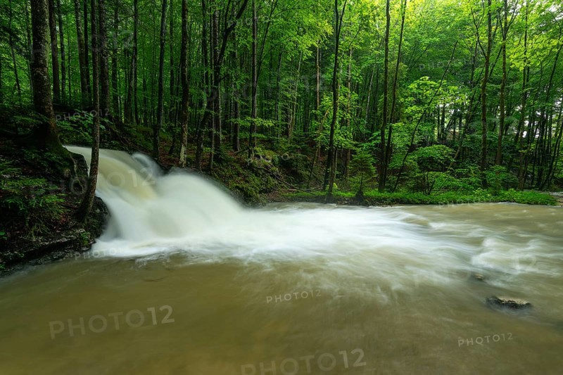 Roaring Weißbach after summer rain near Inzell