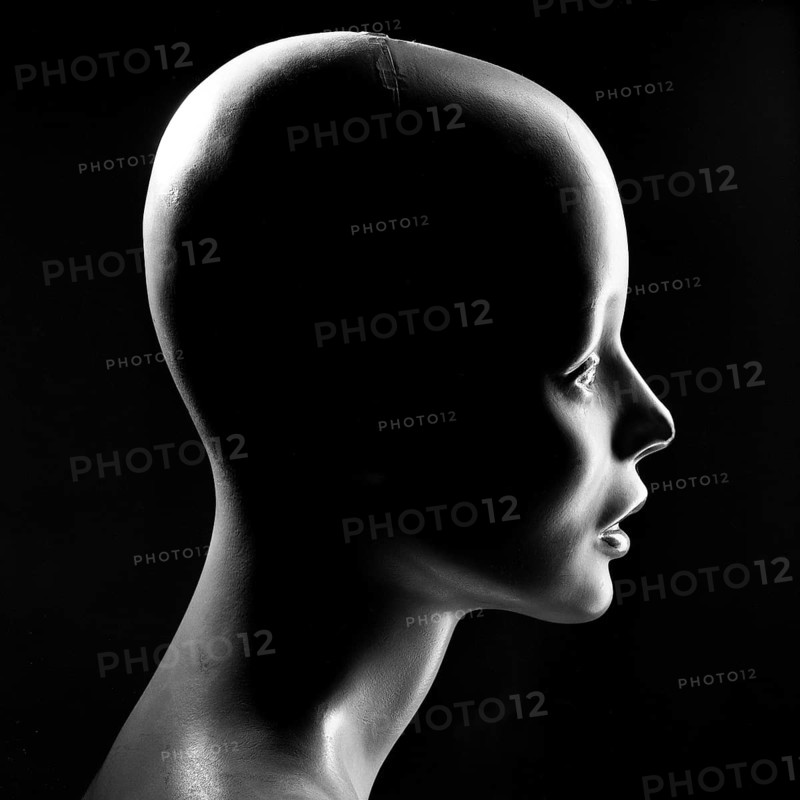 A mannequin head is highlighted in profile view with dramatic lighting that emphasizes its smooth lines and contours. The dark background enhances its artistic appeal and minimalist essence