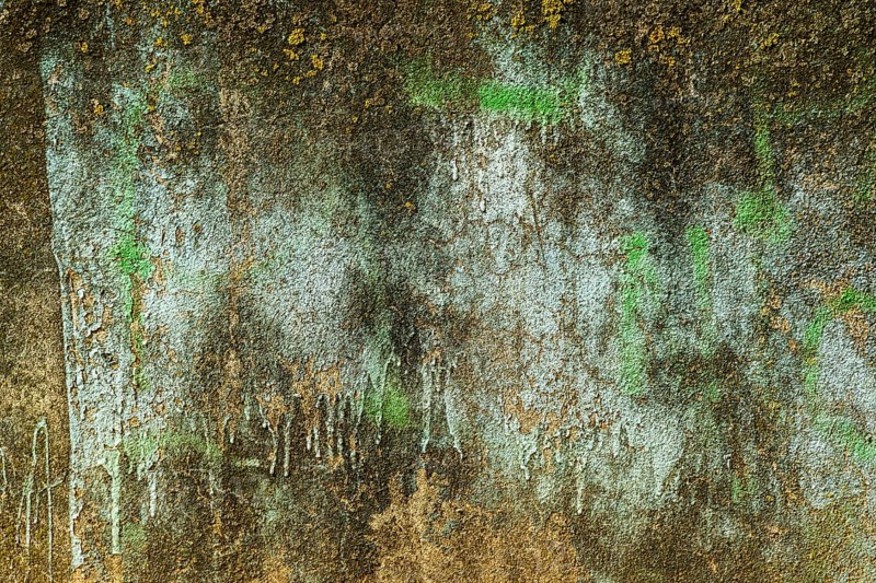 A textured wall displays layers of peeling blue and brown paint, interspersed with patches of green moss, highlighting neglect in an urban setting