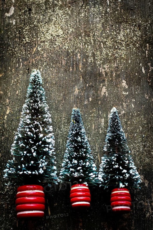 Three small Christmas trees adorned with a snowy white dust rest on a dark rustic wooden surface, enhancing the warm and festive holiday decor during the Christmas season