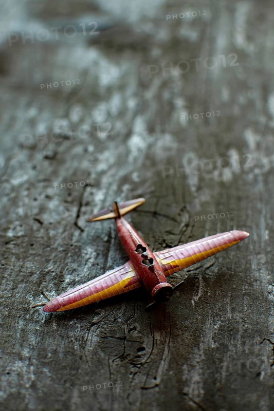 A miniature airplane rests on a rustic wooden surface, emphasizing the detailed craftsmanship and artistry involved in its design. This piece reflects a passion for aviation