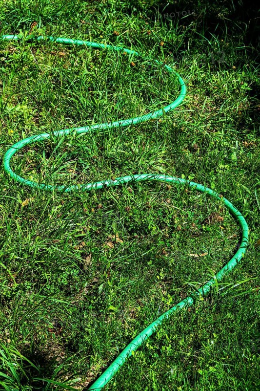 A vibrant green garden hose winds through a patch of fresh grass in a well-maintained outdoor space, illuminated by the warm sun above during afternoon hours