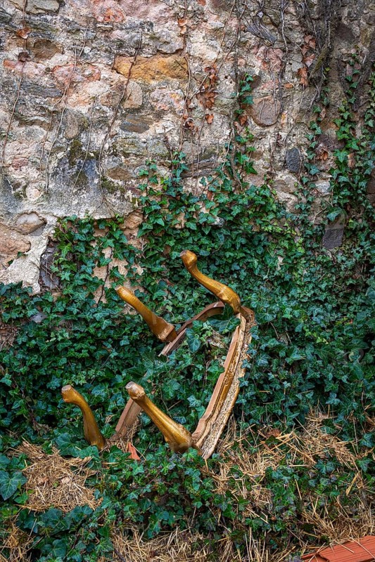 A collection of wooden chair legs lays half-buried in lush green vines, contrasting against a weathered stone wall. The serene outdoor atmosphere is enhanced by nature's embrace. France