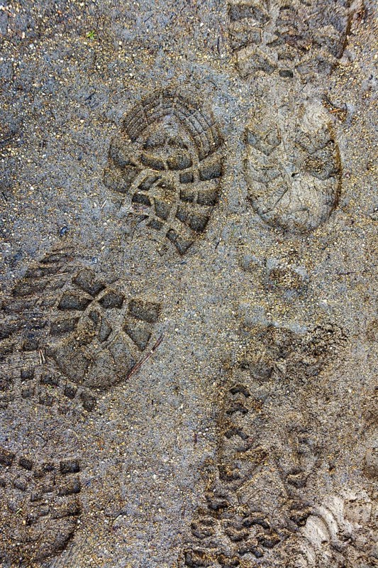 Fresh footprints are visible on a sandy trail, suggesting recent human activity in a natural environment. The surrounding area shows a mix of dirt and sand textures, indicating a popular walking path