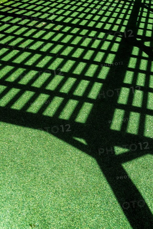 A grid of shadows falls across vibrant green turf, formed by a lattice overhead. The sunlight creates a striking contrast, emphasizing the textures and shapes present