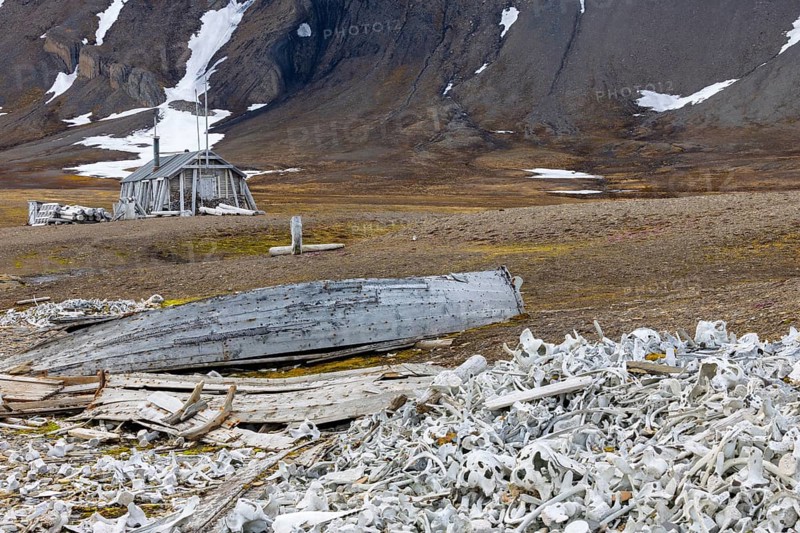 Broken wooden boat in front of hunting hut, wooden hut, bones of white whale (Delphinapterus leucas), Bamsebu, Spitsbergen, Svalbard
