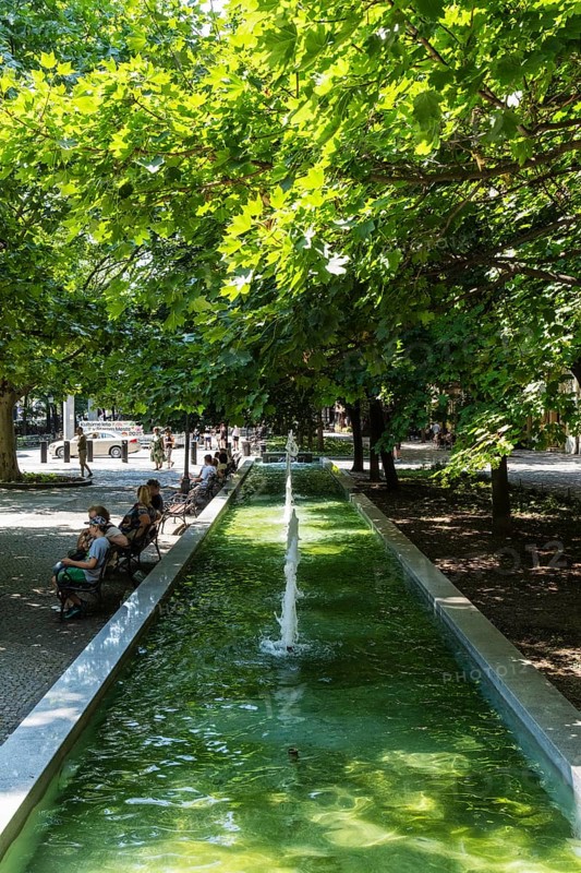 Hviezdoslav Square, promenade with trees, benches and cafés in Bratislava, Slovakia