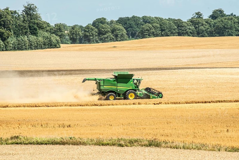 Landscape with threshing of grain with combine harvester at Ystad, Skåne county, Sweden, Scandinavia