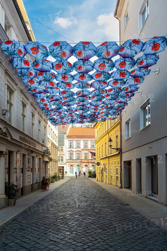 Many umbrellas with poppies over an alley in front of the Nedbalka GalleryBratislava, Slovakia
