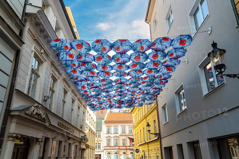 Many umbrellas with poppies over an alley in front of the Nedbalka GalleryBratislava, Slovakia