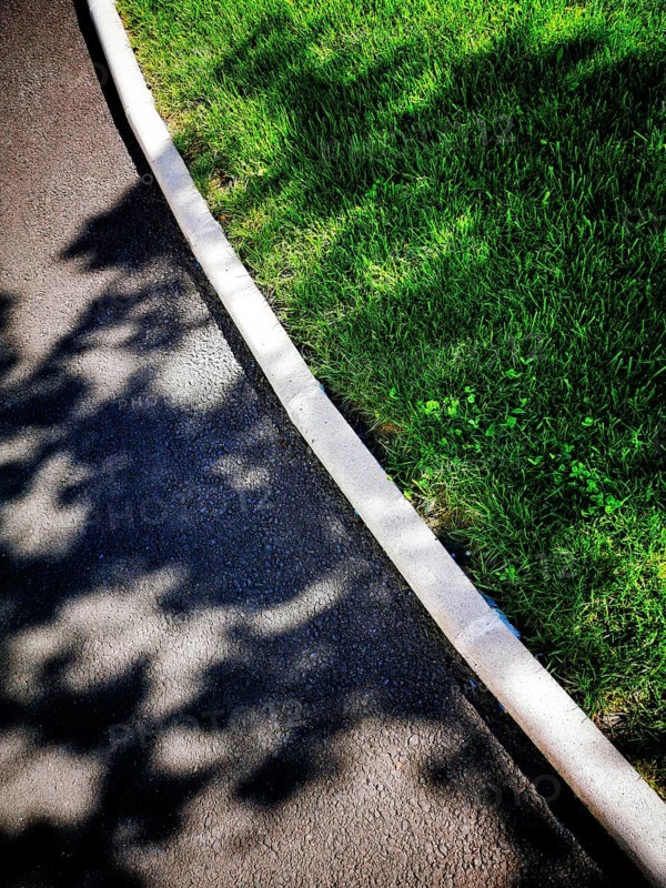 A smooth, dark asphalt path curves alongside vibrant green grass, creating a tranquil atmosphere. Natural light casts delicate shadows of nearby trees, enhancing the serene setting