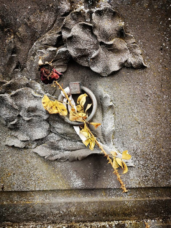A dried rose with delicate yellow petals lies against a textured, weathered gravestone featuring intricate leaf designs, showing signs of age and neglect in a historic cemetery