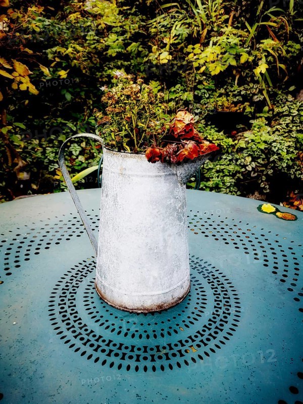 A weathered metal watering can holds dried flowers, placed on a turquoise table with intricate patterns. Lush greenery surrounds the setting, creating a rustic atmosphere