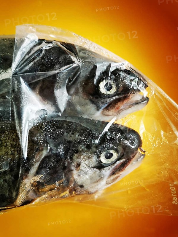 Two fish are enclosed in a clear plastic bag, showcasing their glistening bodies and prominent eyes. The bag is set against a warm, orange background, ideal for food preservation
