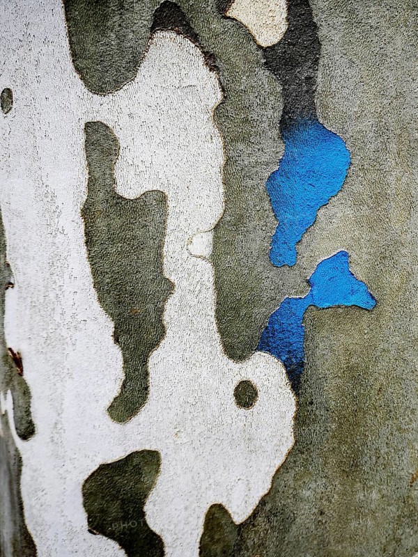 Close-up view of an urban wall features a textured surface with shades of gray and white, accented by vibrant blue patches. The natural wear adds artistic character to the environment