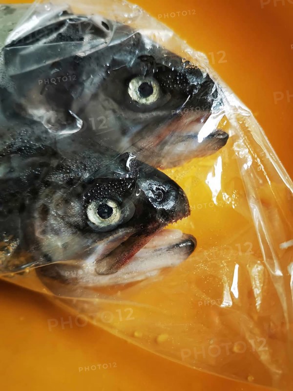 Two whole fish with dark skin and distinct eyes are packaged in transparent plastic, lying on an orange surface, showcasing their freshness at a local market