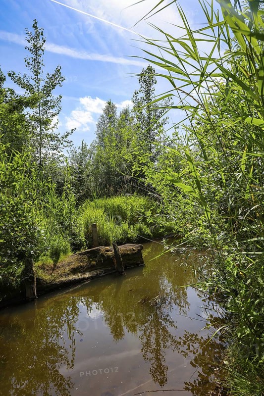Bottrop, North Rhine-Westphalia, Germany - Renaturalised Boye, the tributary of the Emscher, was transformed into a near-natural watercourse, flood protection through newly designed flooding areas, the Boye is now free of sewage after the construction of a parallel sewer, is part of the Emscher river system and thus part of the Emscher conversion, was previously an open, above-ground wastewater channel, mixed water channel with surface water and wastewater