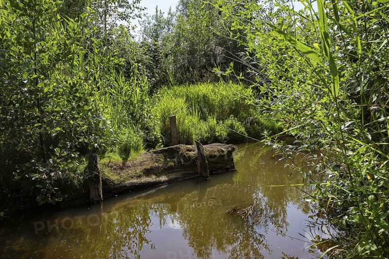 Bottrop, North Rhine-Westphalia, Germany - Renaturalised Boye, the tributary of the Emscher, was transformed into a near-natural watercourse, flood protection through newly designed flooding areas, the Boye is now free of sewage after the construction of a parallel sewer, is part of the Emscher river system and thus part of the Emscher conversion, was previously an open, above-ground wastewater channel, mixed water channel with surface water and wastewater