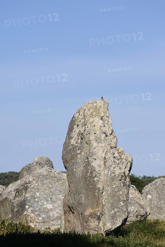 Megalithe, Alignements du Menec, Carnac, Department of Morbihan, Brittany, France