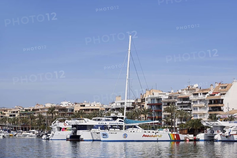 Boats in the harbour, Port d'Alcudia, Majorca, Balearic Islands, Spain