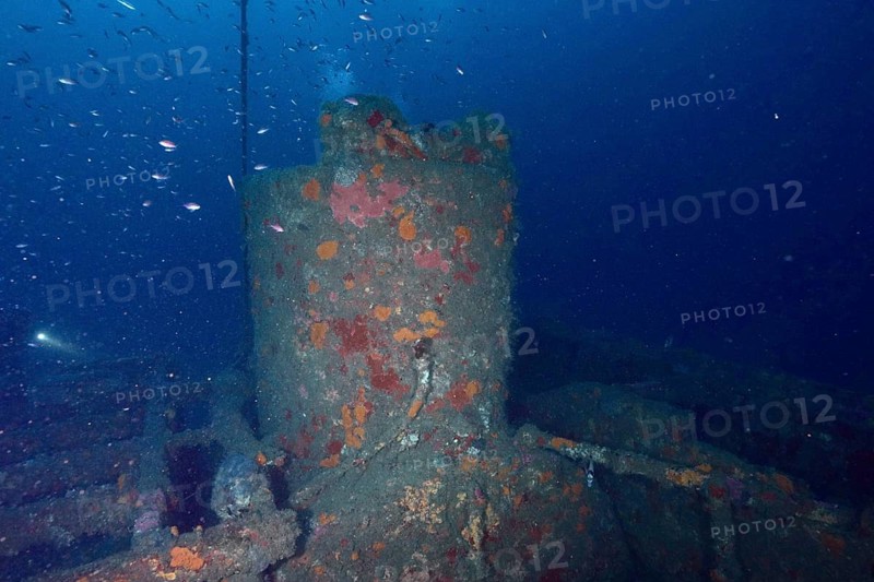 Corridor tower of a shipwreck surrounded by fish. Dive site wreck Ville de Grasse, Giens peninsula, Mediterranean Sea, Provence Alpes Côte d'Azur, France