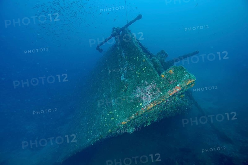 A shipwreck rests peacefully on the seabed, overgrown with green algae. Dive site Wreck Michel C, Giens Peninsula, Mediterranean Sea, Provence Alpes Côte d'Azur, France