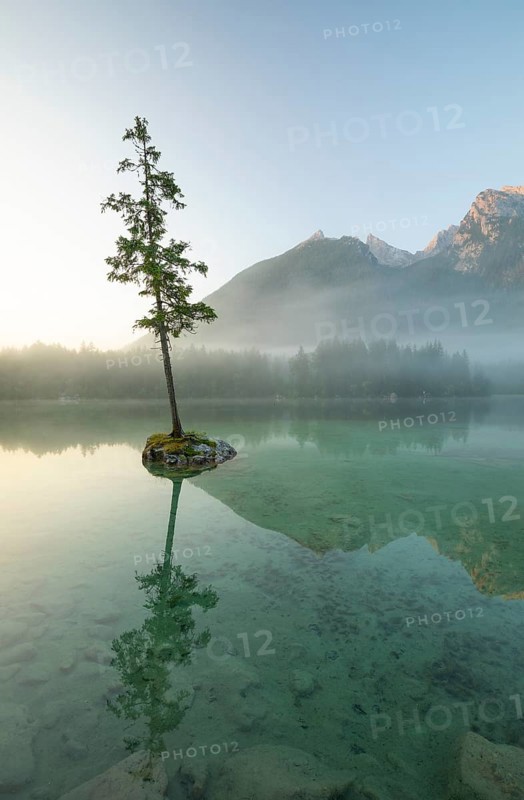Magical sunrise with fog at Hintersee near Ramsau in Berchtesgadener Land