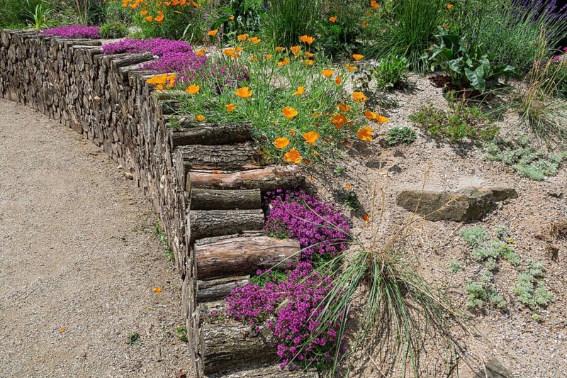 District educational garden, Burgsteinfurt, Münsterland, North Rhine-Westphalia, Germany