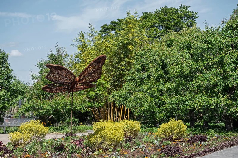 Butterfly figure made of wickerwork, district educational garden, Burgsteinfurt, Münsterland, North Rhine-Westphalia, Germany