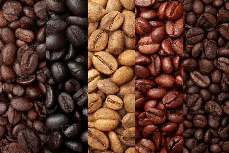 Collage of coffee beans grown in responsible and organic way, AI generated