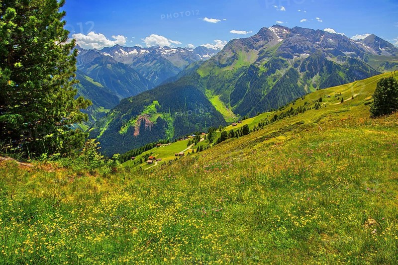 Mountain landscape in the Penken hiking area, Mayrhofen, Zillertal, Zillertal Alps, Tyrol, Austria