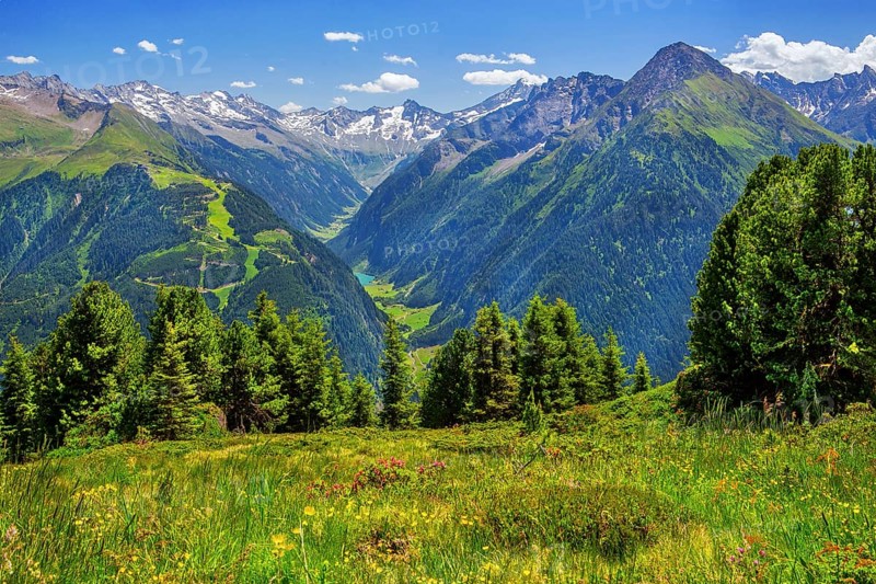 Mountain landscape in the Penken hiking area with views of the Stilluptal valley, Mayrhofen, Zillertal, Zillertal Alps, Tyrol, Austria