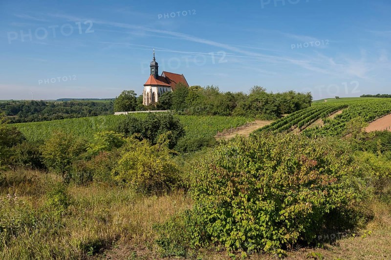 Pilgrimage church Maria im Weingarten, on a small hill, surrounded by extensive vineyards and lush greenery on a sunny day, near Volkach am Main, Lower Franconia, Mainfranken, Bavaria, Germany