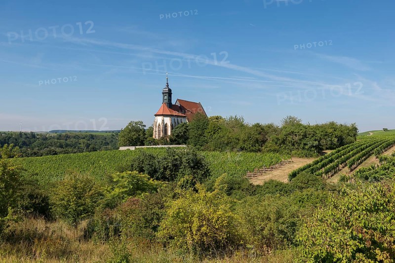 Pilgrimage church Maria im Weingarten, on a hill surrounded by vineyards and trees under a blue sky, near Volkach am Main, Lower Franconia, Mainfranken, Bavaria, Germany