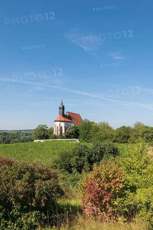 The pilgrimage church Maria im Weingarten, enthroned on a hill, is surrounded by green vineyards and trees, under a bright blue sky, near Volkach am Main, Lower Franconia, Mainfranken, Bavaria, Germany