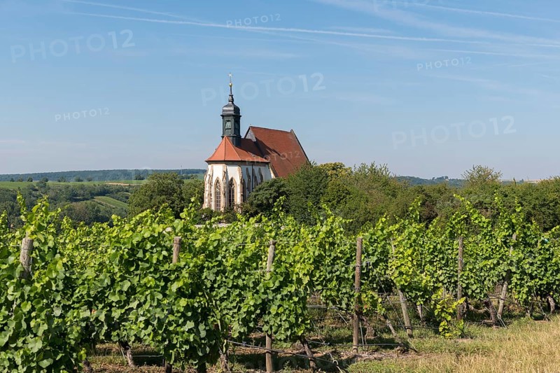 Pilgrimage church Maria im Weingarten, surrounded by vines, embedded in a green hilly landscape under a blue sky, near Volkach am Main, Lower Franconia, Mainfranken, Bavaria, Germany