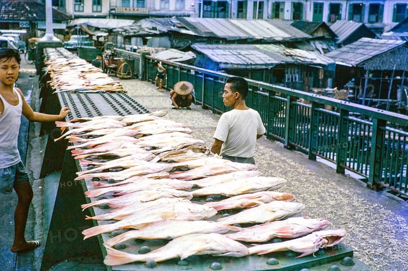 Fish laid out on sale at side of a road bridge, Singapore, southeast Asia c 1963