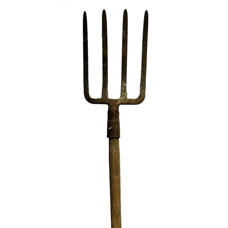 A metal fork with four sharp prongs stands upright against a plain white background. The wooden handle is aged and shows signs of wear, highlighting its use in agricultural tasks