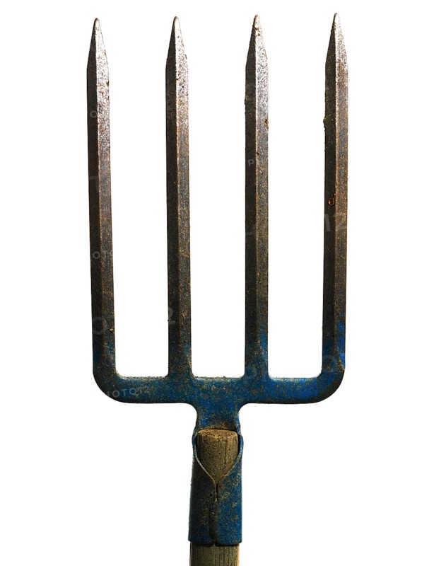 A metal fork with four sharp prongs stands upright against a plain white background. The wooden handle is aged and shows signs of wear, highlighting its use in agricultural tasks
