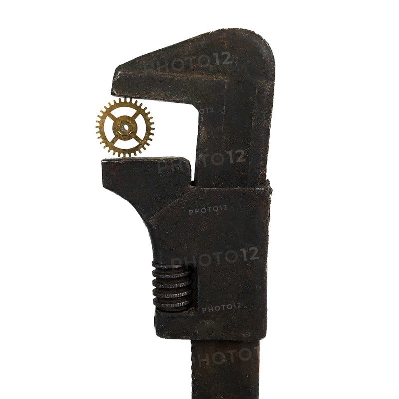 A rusty spanner holds a delicate watch cog in its jaws, showcasing a unique contrast between rugged metal and intricate craftsmanship