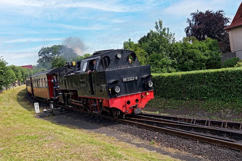 Molli steam locomotive on the line, Mecklenburgische Bäderbahn, Baltic resort Kühlungsborn, Baltic Sea, Mecklenburg-Vorpommern, Germany