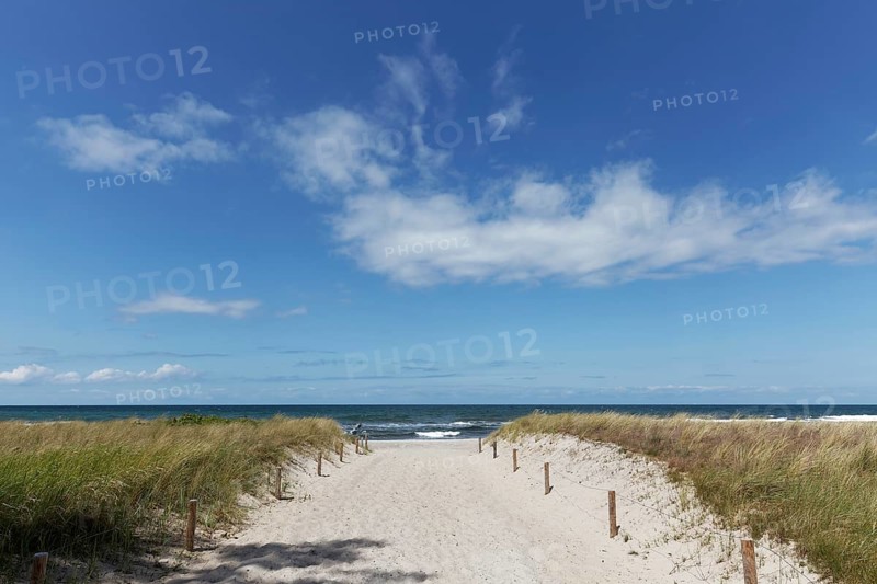 Beach access through dunes, sandy path, blue sky, Kühlungsborn, Baltic Sea, Mecklenburg-Western Pomerania, Germany