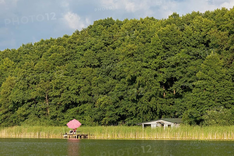 Parasol, holiday home, Leppinsee, Rechlin, Mecklenburg Lake District, Mecklenburg-Western Pomerania, Germany