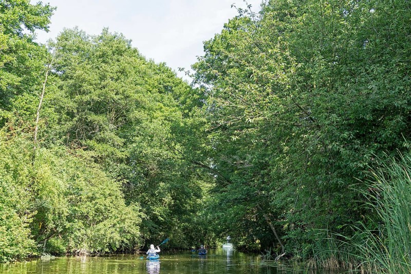 Canal between Leppinsee and Woterfitzsee, canoes, trees, Müritz National Park, Mecklenburg Lake District, Mecklenburg-Western Pomerania, Germany
