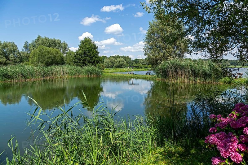 Fish ponds, Fischers Land Boek, Mecklenburg Lake District, Mecklenburg-Western Pomerania, Germany
