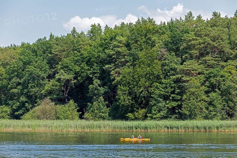 Canoe, Zotzensee, Mecklenburg Lake District, Mecklenburg-Western Pomerania, Germany