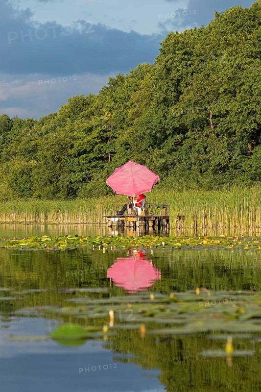 Parasol, reflection, Leppinsee, Rechlin, Mecklenburg Lake District, Mecklenburg-Western Pomerania, Germany