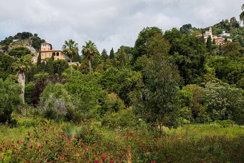 Botanical Garden, Giardino Hanbury, La Mortola, near Ventimiglia, Riviera dei Fiori, Liguria, Italy